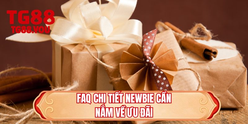 FAQ chi tiết newbie cần nắm về ưu đãi