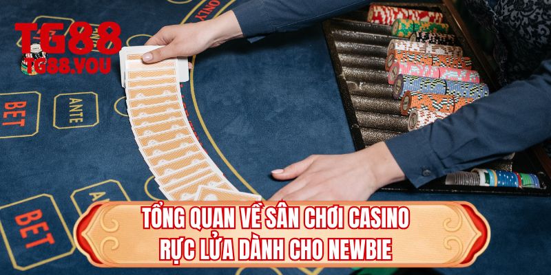 Tổng quan về sân chơi casino rực lửa dành cho newbie